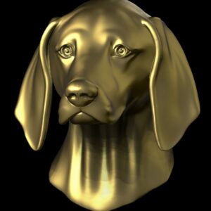 Anglos Français de petite vènerie