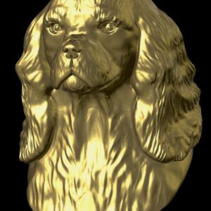 Cavalier King Charles