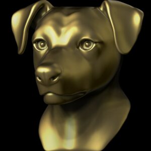 Jack Russell terrier