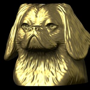 Épagneul japonais (Japanese Chin)