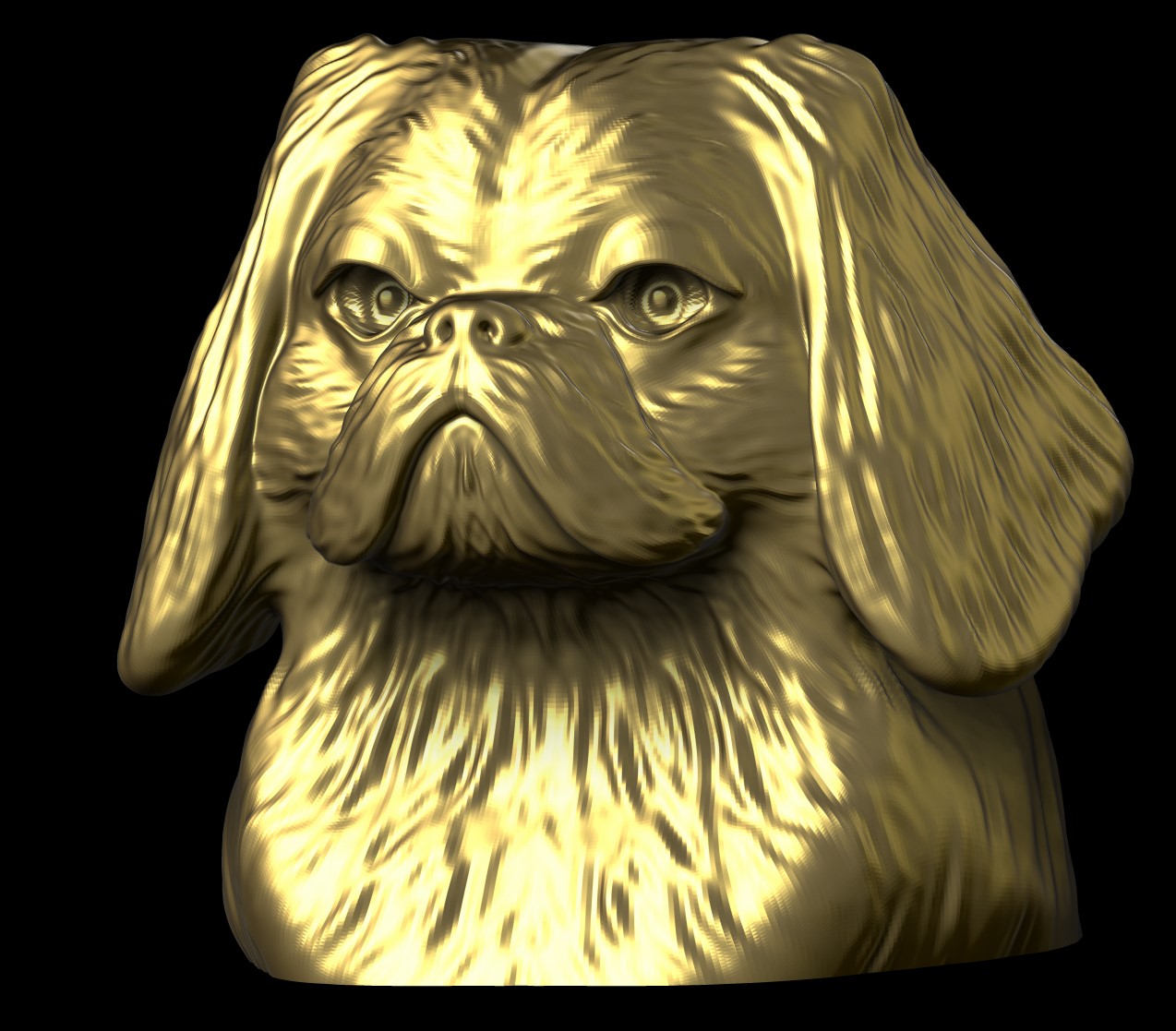 Épagneul japonais (Japanese Chin)