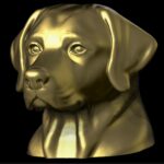 labrador