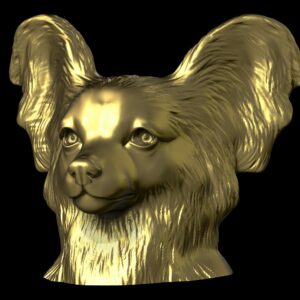 Épagneul nain continental papillon