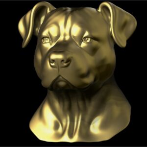 American Pit Bull Terrier (Buste)