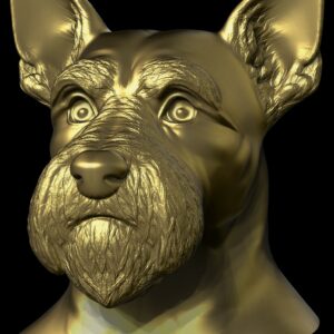 Terrier écossais ( scottish terrier )