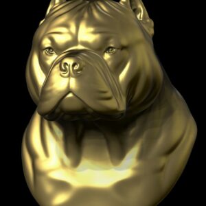 American Staffordshire Terrier