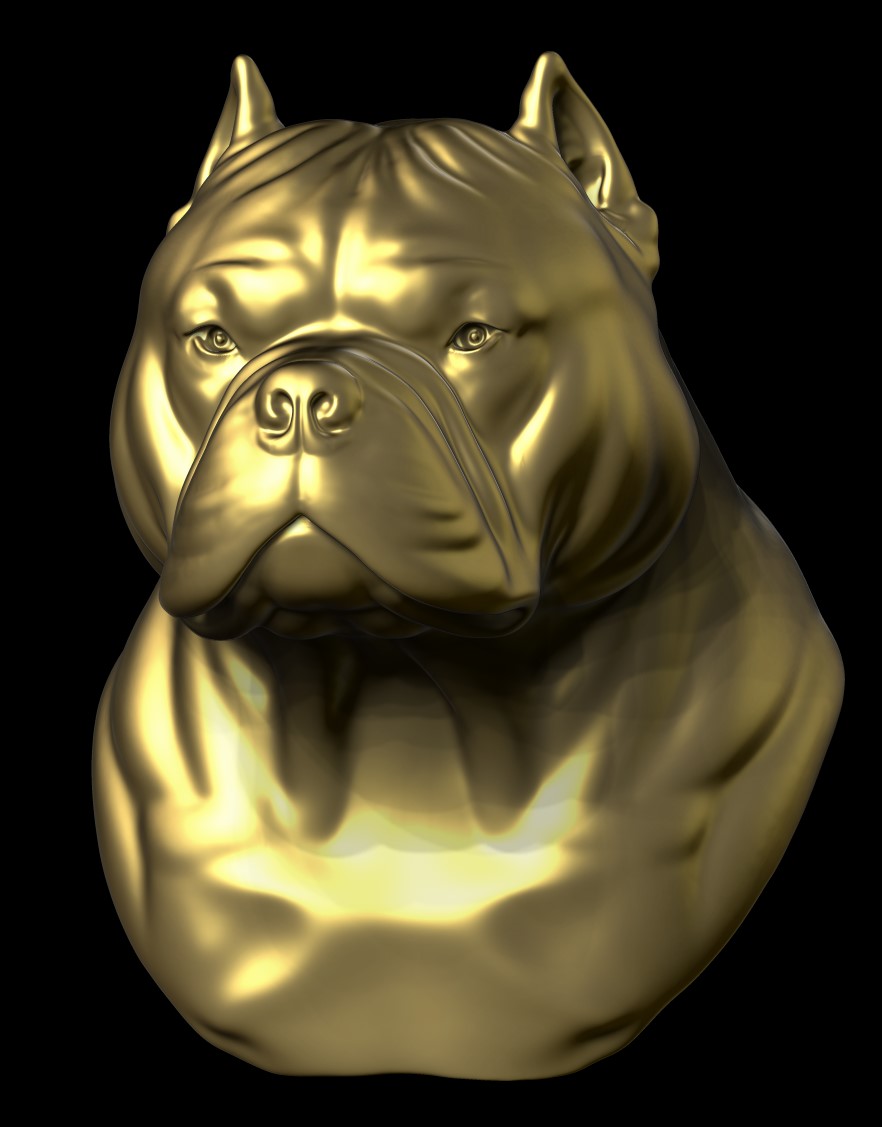 American Staffordshire Terrier